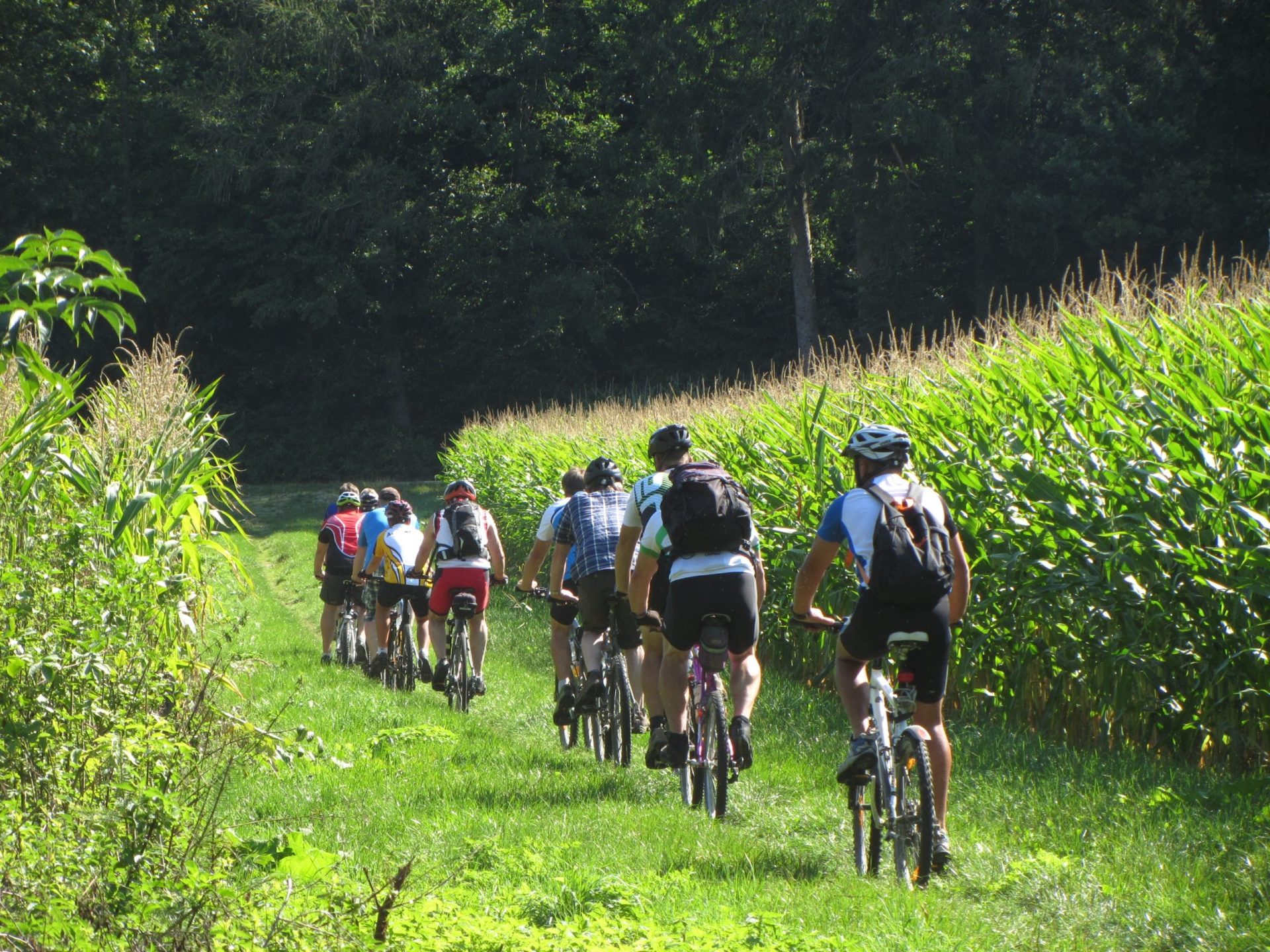 Clients à vélo & Location de vélos