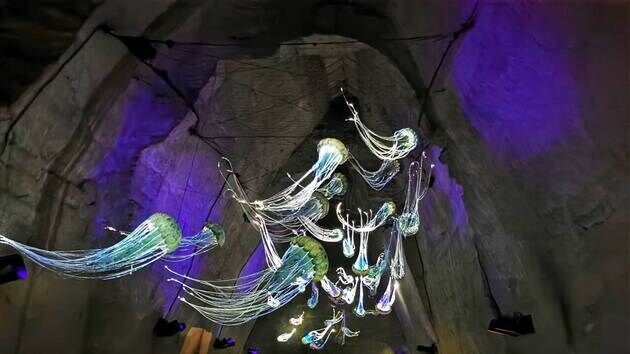 Le Mystère des Faluns, une invitation au voyage entre science et poésie — photo 2