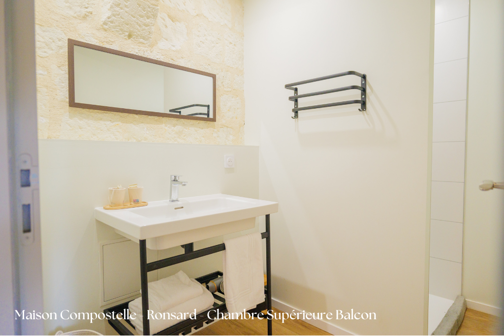 Suite Supérieure avec Balcon vue Loire — photo 4